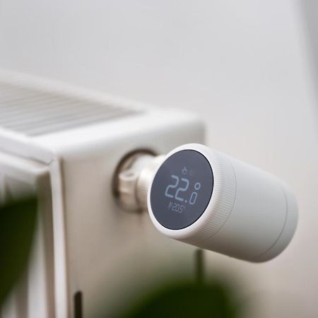Edler Wohnraum Schwanenteich-Suite Mit Balkon, Kaffeevollautomat, Lift & Parkplatz Τσβικάου Εξωτερικό φωτογραφία